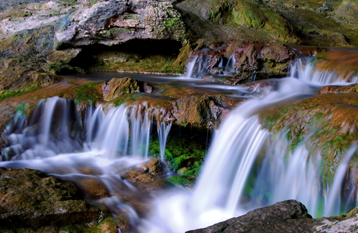 Moss Under Entrance Falls